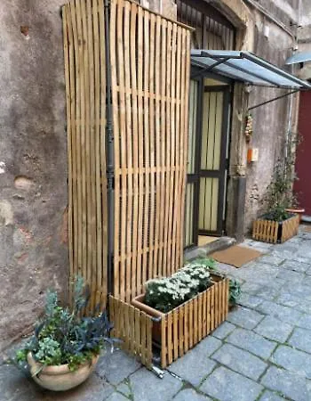 Art Center By Wonderful Italy Katanya
